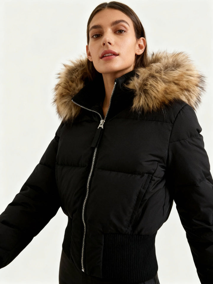 Women's Contemporary Padded Jacket