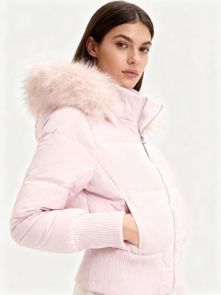 Women's Contemporary Padded Jacket